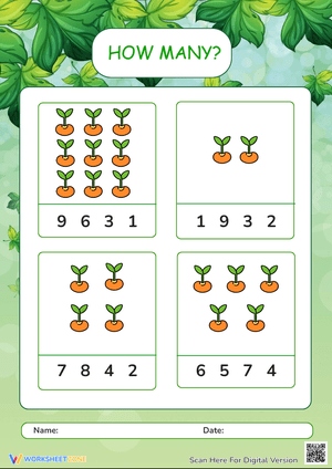 Fun Counting Worksheet for Kids - How Many?