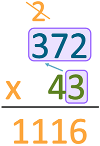 Multiply 2-Digit by 3-Digit Numbers