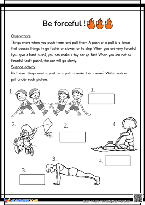 Push and Pull Forces Exploration