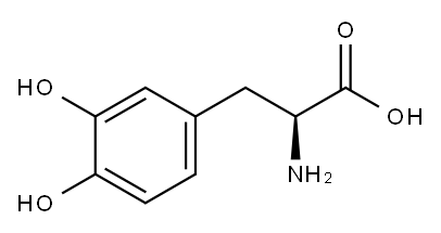 Comprehensive Quiz on CNS Stimulants & Parkinson's