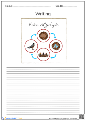 Free Printable & Interactive Life Cycle of A Bird Worksheets