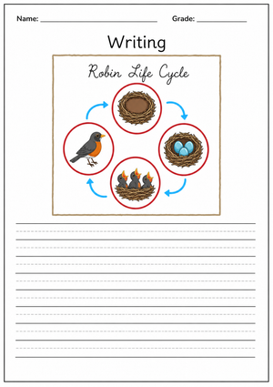 Grade 4-5 Robin Life Cycle — Printable No-Prep Worksheet