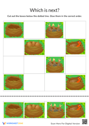 Bird Life Cycle - Cut and Paste Sequencing Activity for Kids