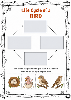 Printable Bird Life Cycle Worksheet | Grade 3 Science