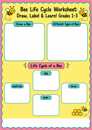 Bee Life Cycle Worksheet | Essential Grade 1-3 Science