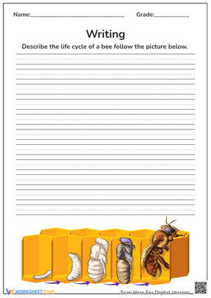 Writing The Life Cycle of a Bee