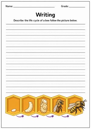 Bee Life Cycle Writing Worksheet | Printable Grade 4