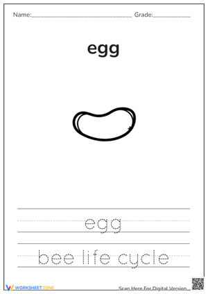 Bee Egg Tracing Worksheet