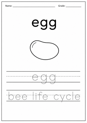 Printable Bee Egg Tracing Worksheet | Grade K-1