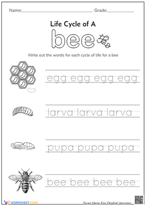 From Egg to Bee: Tracing Fun