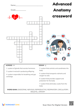 Advanced Anatomy Crossword