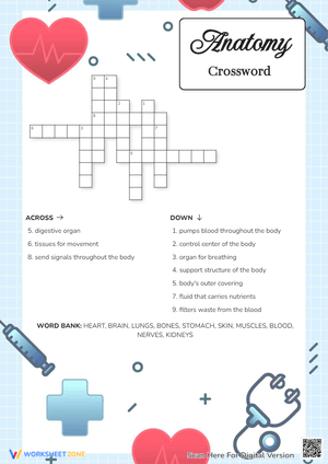 Human Body Anatomy Crossword Puzzle - Grades 4-7 Science Fun
