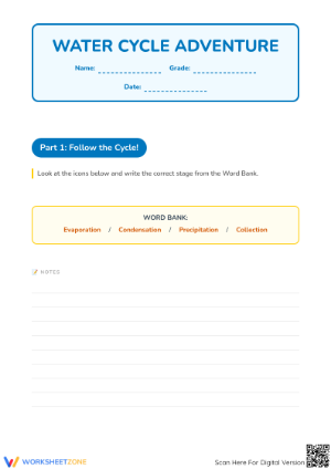 Water Cycle Diagram: Label the Processes! Grades 2-4