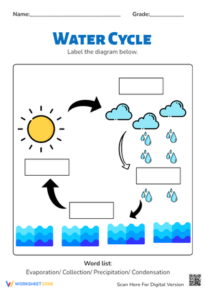Water Cycle Filling