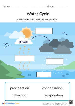 Water Cycle Labelling