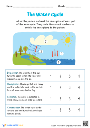 The Water Cycle For Kids