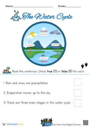 The Water Cycle Worksheet for Kids