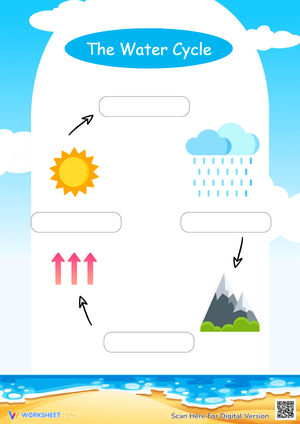 The Water Cycle Illustration