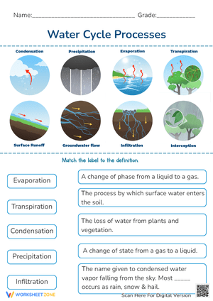 Water Cycle Processes