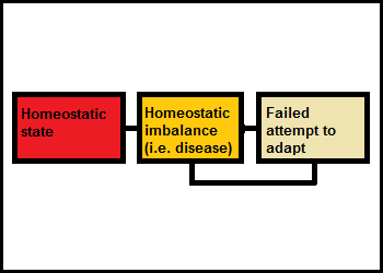 Climate and Weather Quiz