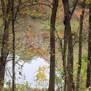 Irregularly Spelled Words