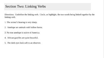 Verb To-be Practice Sheet