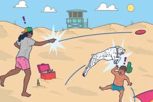 Text Structure and Point of View Quiz