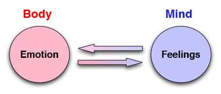 Conjugating the Verb 'To Be' in Sentences