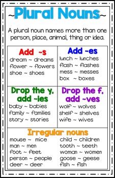 Nouns Review: Common, Plural, and Possessive Nouns Practice
