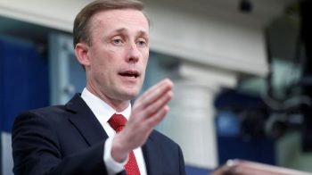 Interactive Text Structure Practice Activities