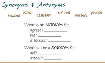 Synonyms and Antonyms Quiz: Language Study