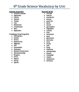 Essential 6th Grade Vocabulary Practice Worksheet