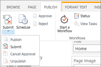 Using Action Verbs Correctly in Context