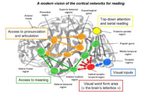 Key Vocabulary Terms for Reading Comprehension