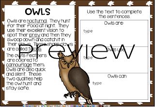 Informational Writing Vocabulary