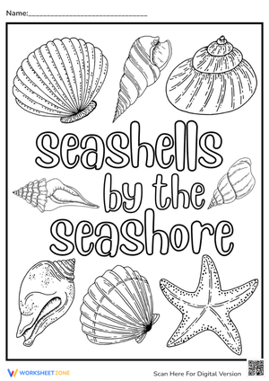 Seashells Summer Coloring