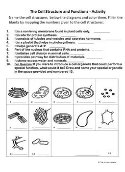 Learn Cell Organelles