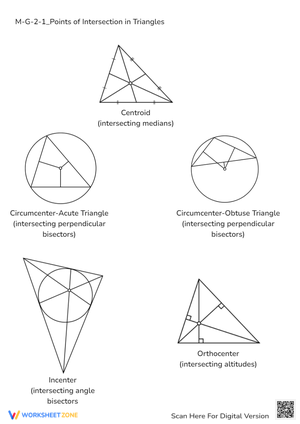Triangle Centers: Geometry Worksheet - Medians, Altitudes & Bisectors