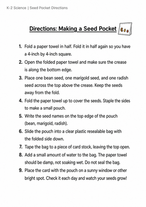 Essential Seed Pocket Activity | Kindergarten Science