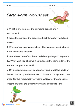 Earthworm Dissection Worksheet