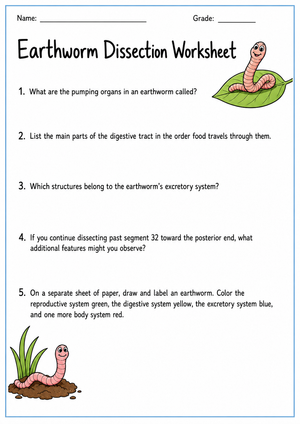 Grade 9 Earthworm Anatomy — Printable No-Prep Worksheet