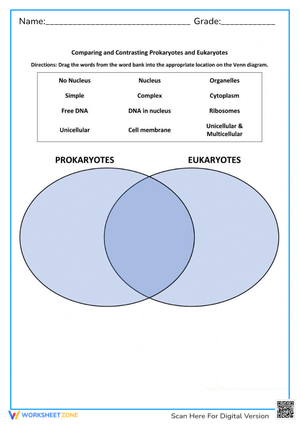 Prokaryotes vs. Eukaryotes: Cell Structure Venn Diagram Worksheet