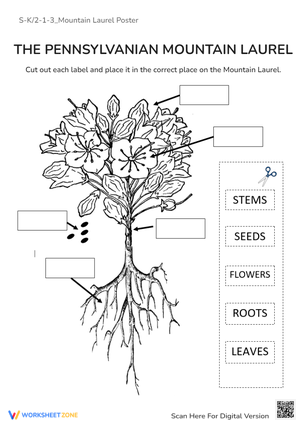 Discover the Mountain Laurel Poster
