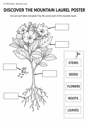 Printable Plant Parts Worksheet | Grade K Science