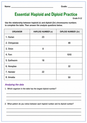 Haploid and Diploid Worksheet — Printable Grade 9-12