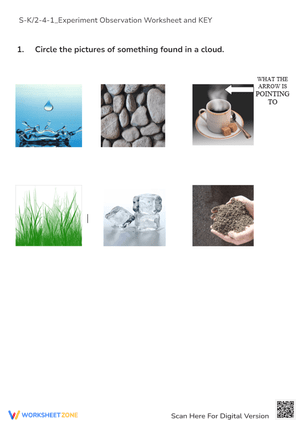 Science Experiment Observation Worksheet