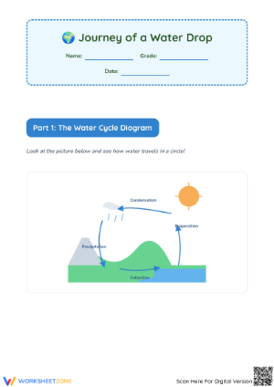 The Water Cycle Diagram and Reading Worksheet