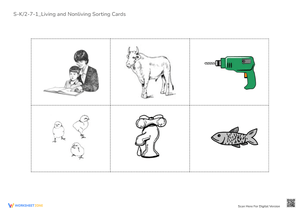 S-K2-7-1_Living and Nonliving Sorting Cards
