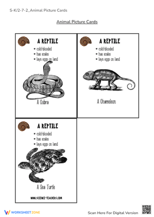 Animal Picture Cards Worksheet for Early Education