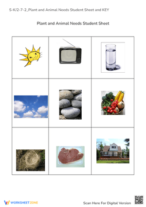 Plant and Animal Needs Student Worksheet with Key